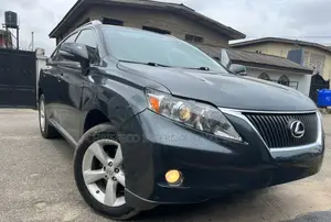 Lexus RX 2010 Gray