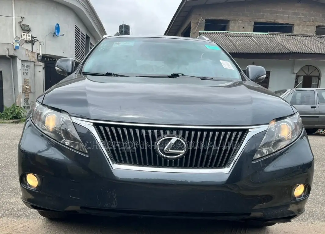 Lexus RX 2010 Gray