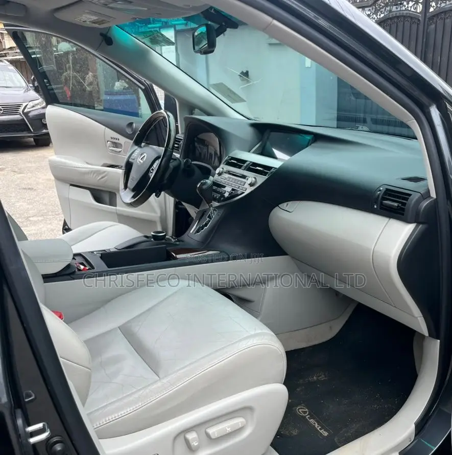 Lexus RX 2010 Gray