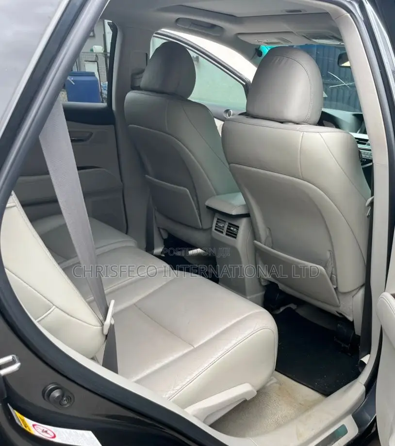 Lexus RX 2010 Gray