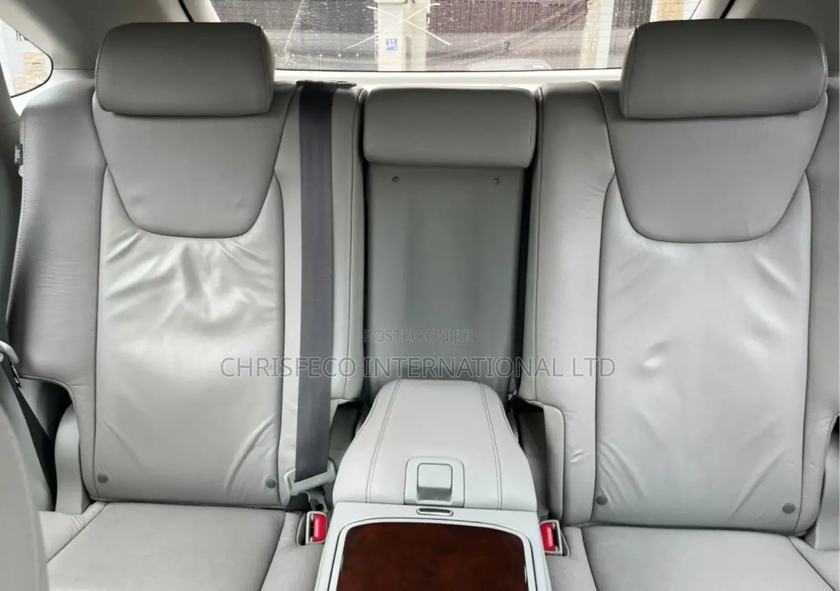 Lexus RX 2010 Gray