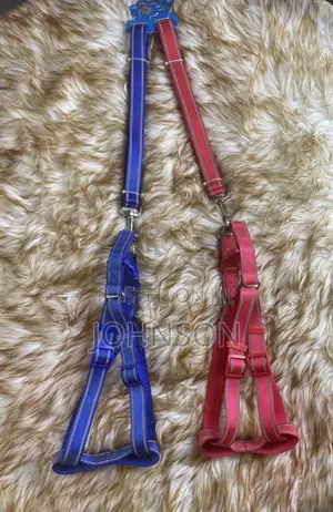 Leash Harness for Medium Dogs