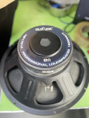 High Quality Glorik15 Inches Professional Bass Naked Speaker