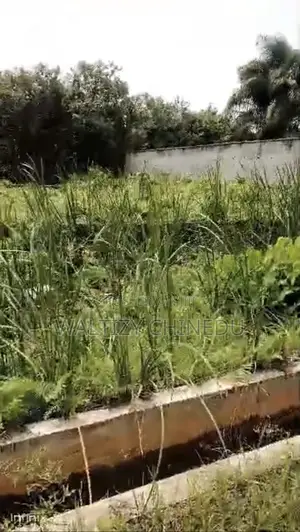 Plot of Land for Sale