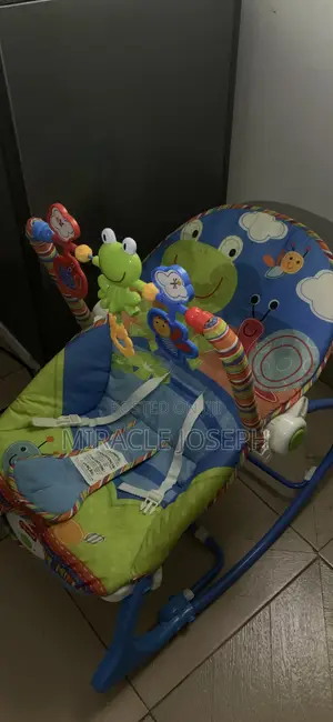 Baby Swinger