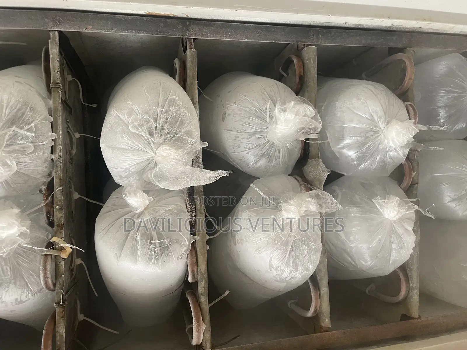 Fresh Frozen Ice Production