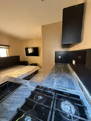 Furnished 1bdrm Condo in Victoria Island Extension for rent