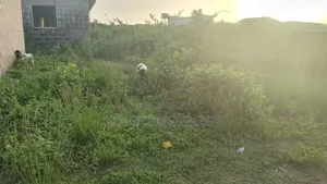 Land Property