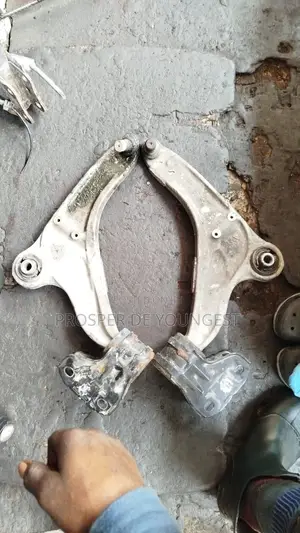 Low Arm for Ford Edge Set 2020 Model