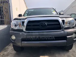Toyota Tacoma 2011 Gray