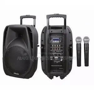 Rental of Public Address System With Two Wireless Microphones