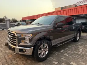 Ford F-150 2017 Gray