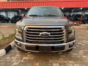 Ford F-150 2017 Gray