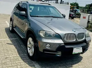 BMW X5 2010 Gray