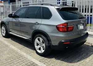 BMW X5 2010 Gray