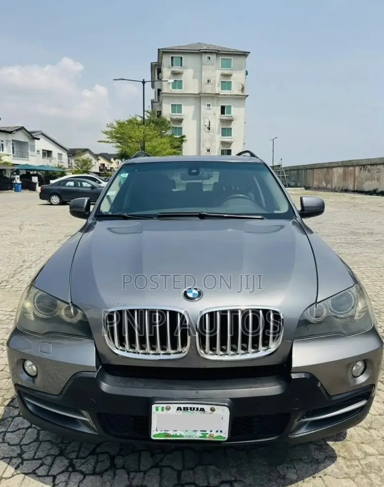 BMW X5 2010 Gray