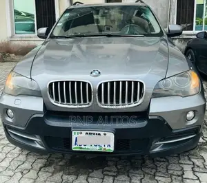 BMW X5 2010 Gray