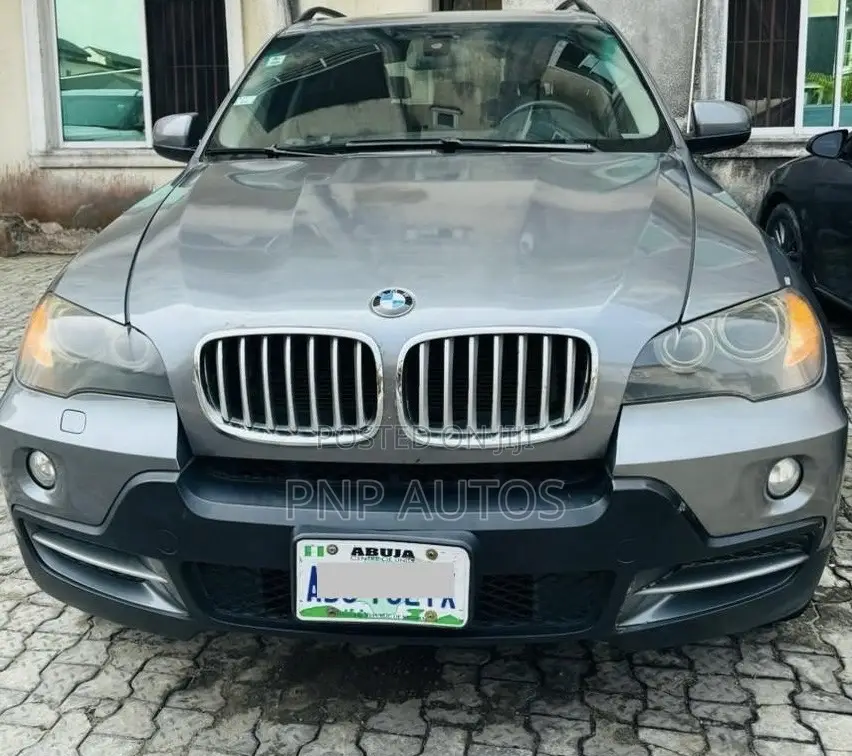 BMW X5 2010 Gray