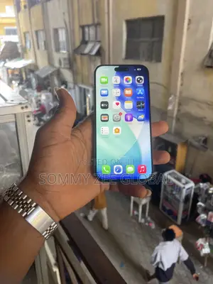 Apple iPhone 16 Pro Max 256 GB Black