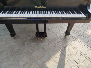 Wendl Lung Grand Piano