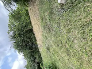 A Plot of Land