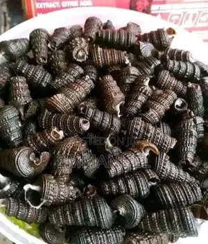 Snail Meats
