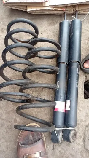 Back Spring for All Kinds of Suvs