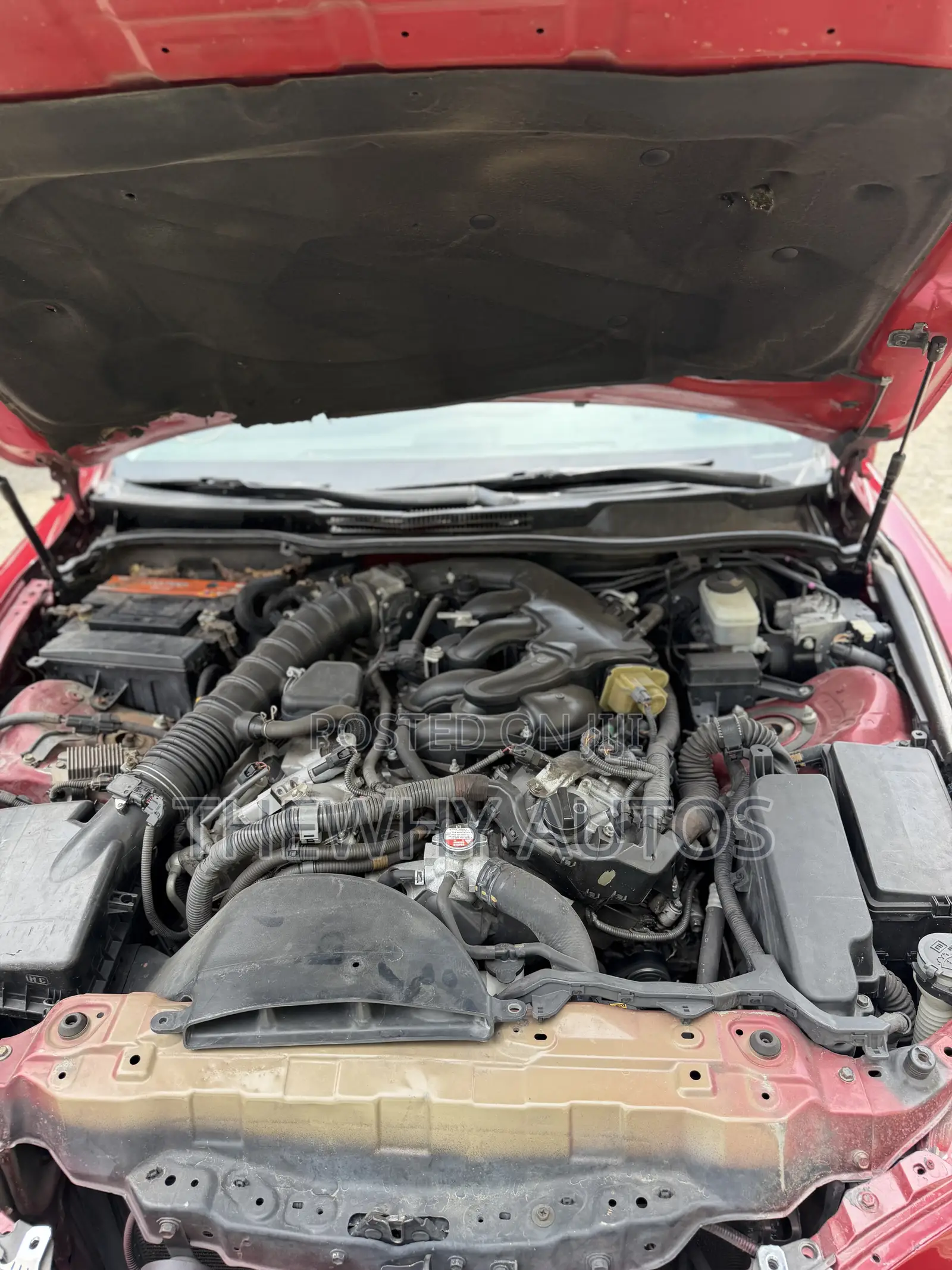 Lexus IS 250 2008 Burgundy