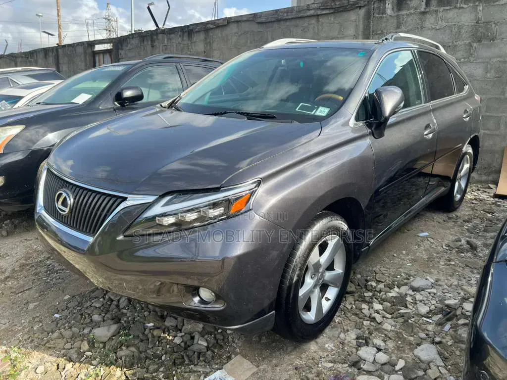 Lexus RX 350 2010 Gray