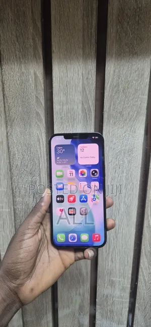 Apple iPhone 12 Pro Max 256 GB Blue