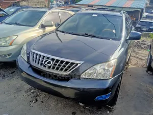 Lexus RX 350 AWD 2009 Gray