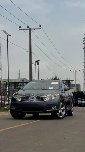 Toyota Venza 2010 Gray