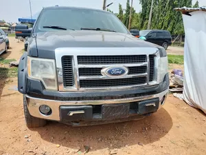 Ford F-150 2013 Gray