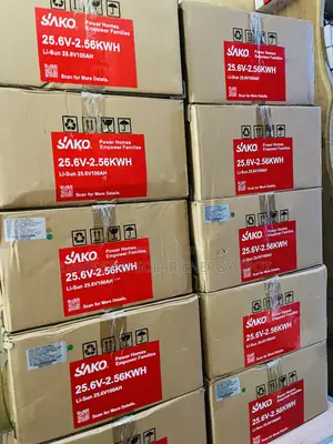 2.56kwh 24v Sako Solar Lithium Ion Battery With Bluetooth and Wi-Fi