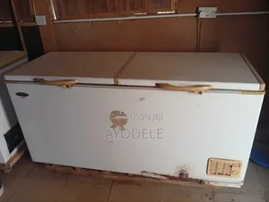 2 Thermocool Deep Freezers