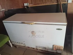 2 Thermocool Deep Freezers