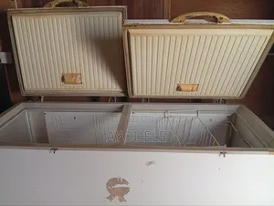 2 Thermocool Deep Freezers