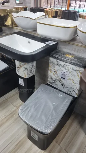 Latest Design Water Closet With Design Color