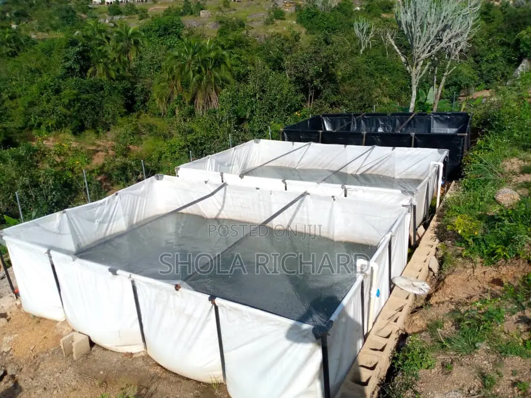 Fish Farming Made Easy