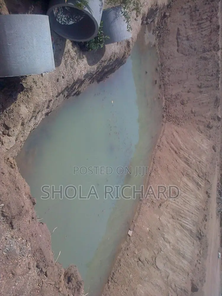 Fish Farming Made Easy