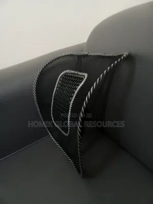 Chair/Car Seat Lumbar Back Support Mesh