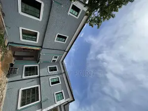 Premium Gravitex Paint