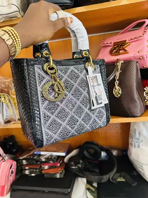 Dior Crocs Bag