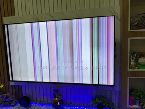 Screen Replacement and Repairs