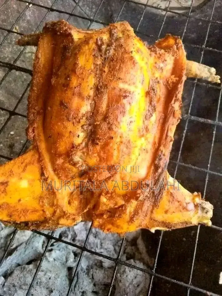Rabbits Meat