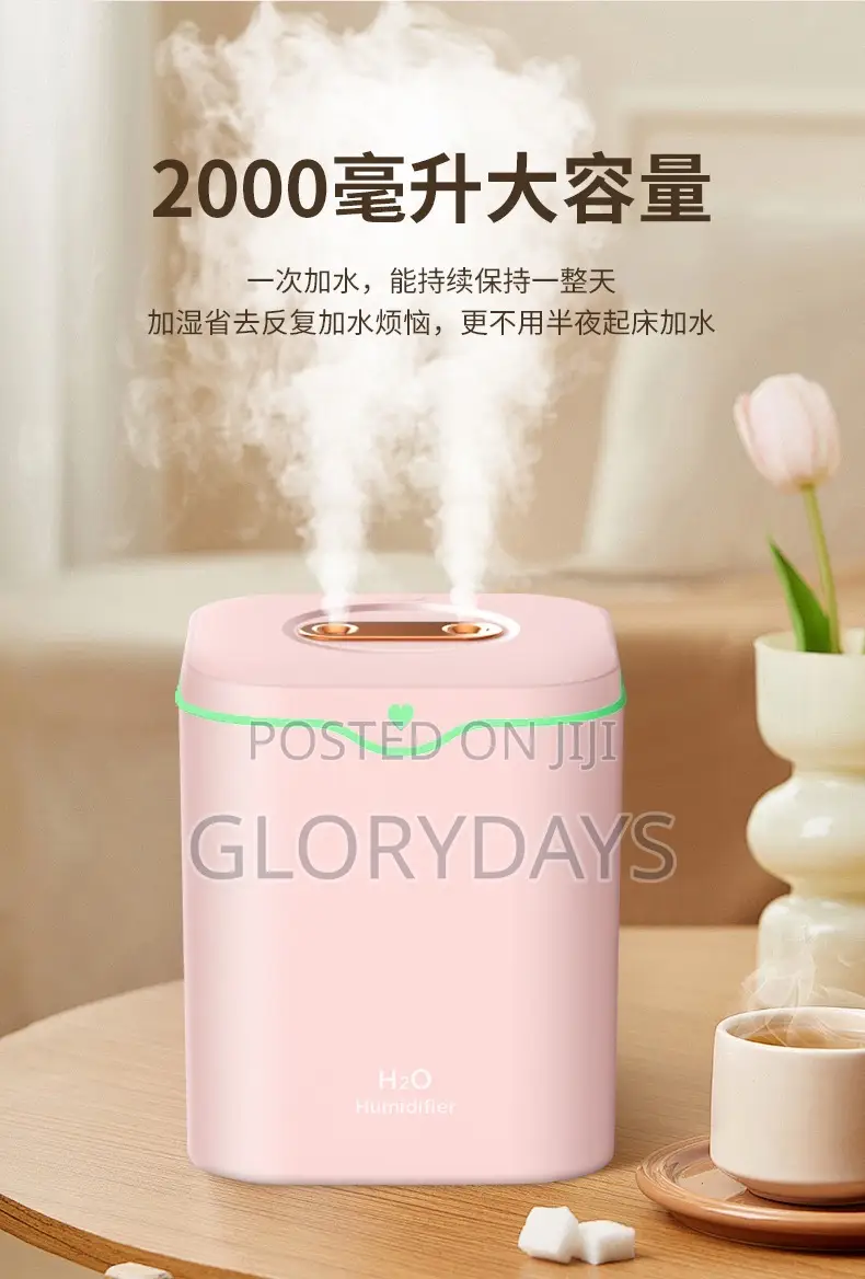 Double Spray Humidifier