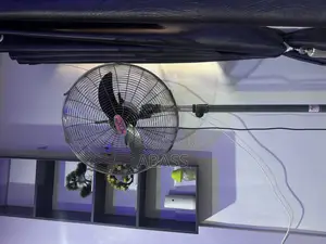 Used Ox Fan