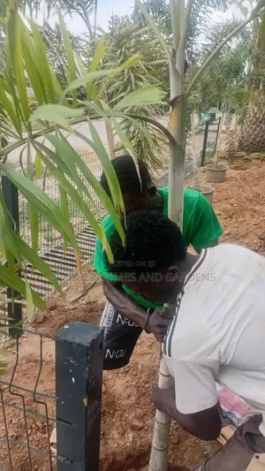 Plants for Landscaping