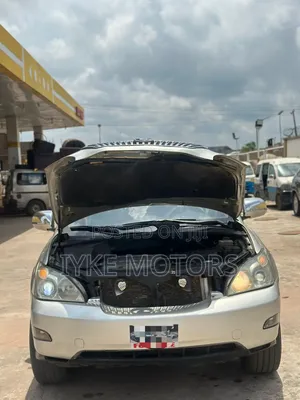 Lexus RX 2008 Silver