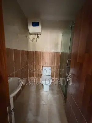 4bdrm Duplex in Asokoro for rent